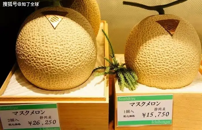 原創日本水果賣成iPhone價？背後邏輯太顛覆
