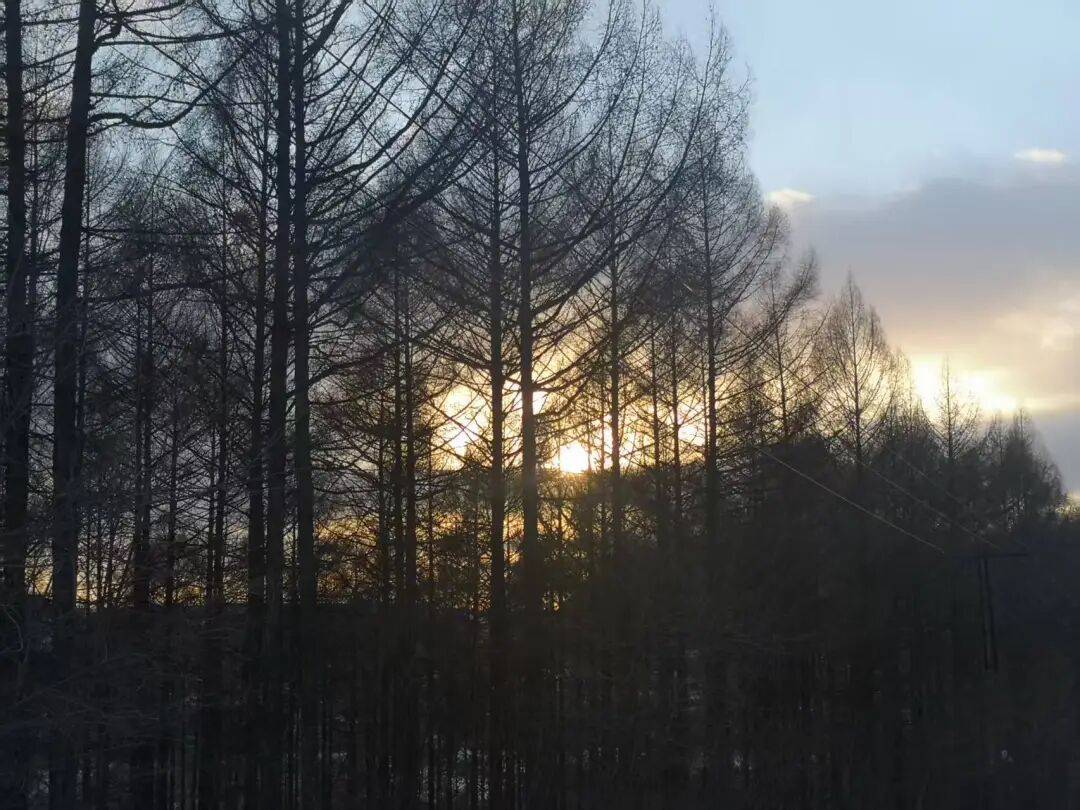 鶴崗「房產一哥」，轉行擦邊背後