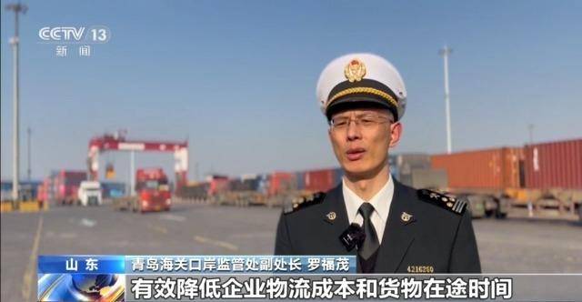 通關時間壓縮50%，青島港實現進出口物流“一單到底”