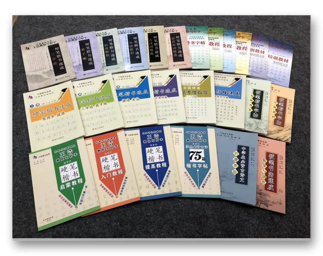 書法家王浩——元啟新章·翰墨賀歲