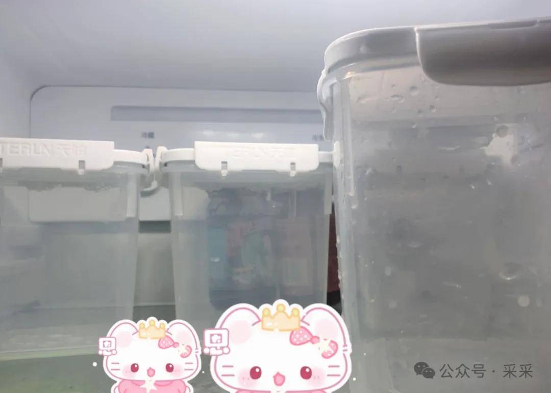 好一個八離世家，奇奇怪怪的收藏合集