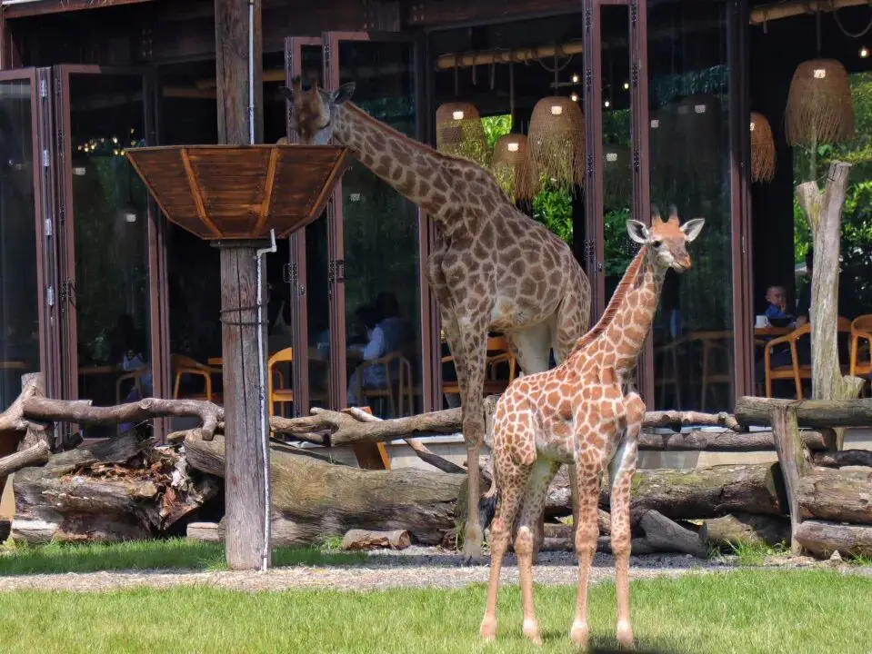 寒假湄旅遊：奔赴一場21℃的自然文化深度邂逅