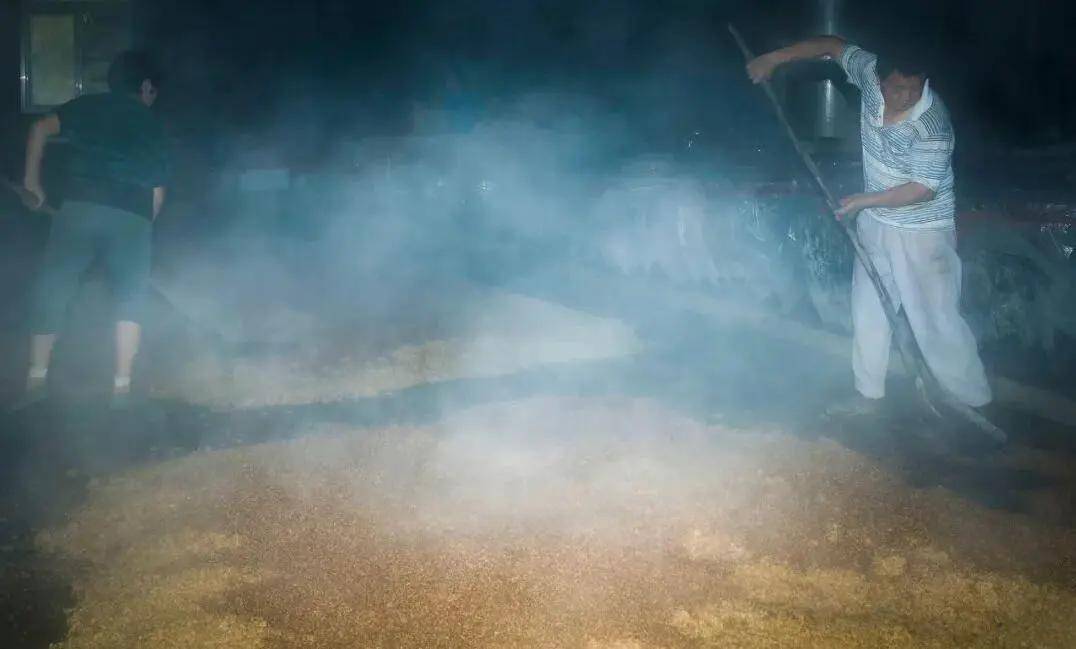 國際旅遊攝影網2026年國內外攝影路線全景指南