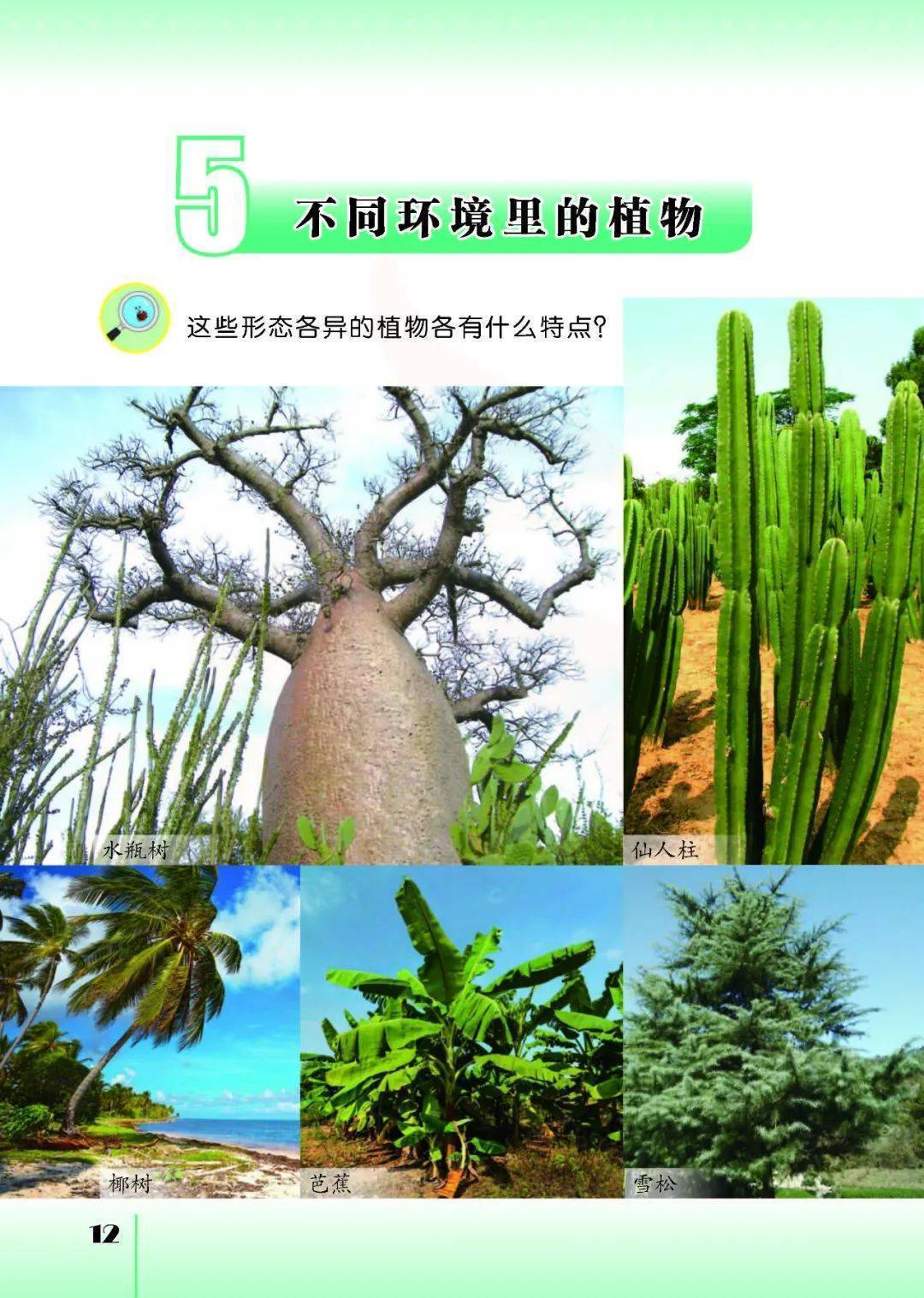 2026蘇教版五年級科學下冊電子課本(PDF高畫質版新教材)