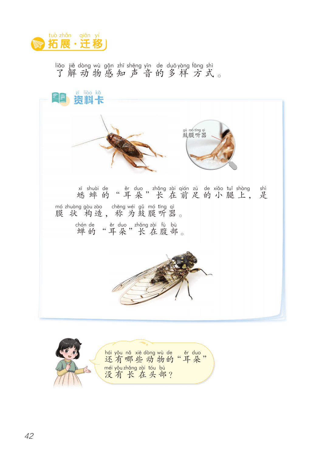 2026青島版一年級科學下冊電子課本(PDF高畫質版新教材)