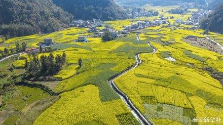 收藏春日！打卡春天裡的大美中國