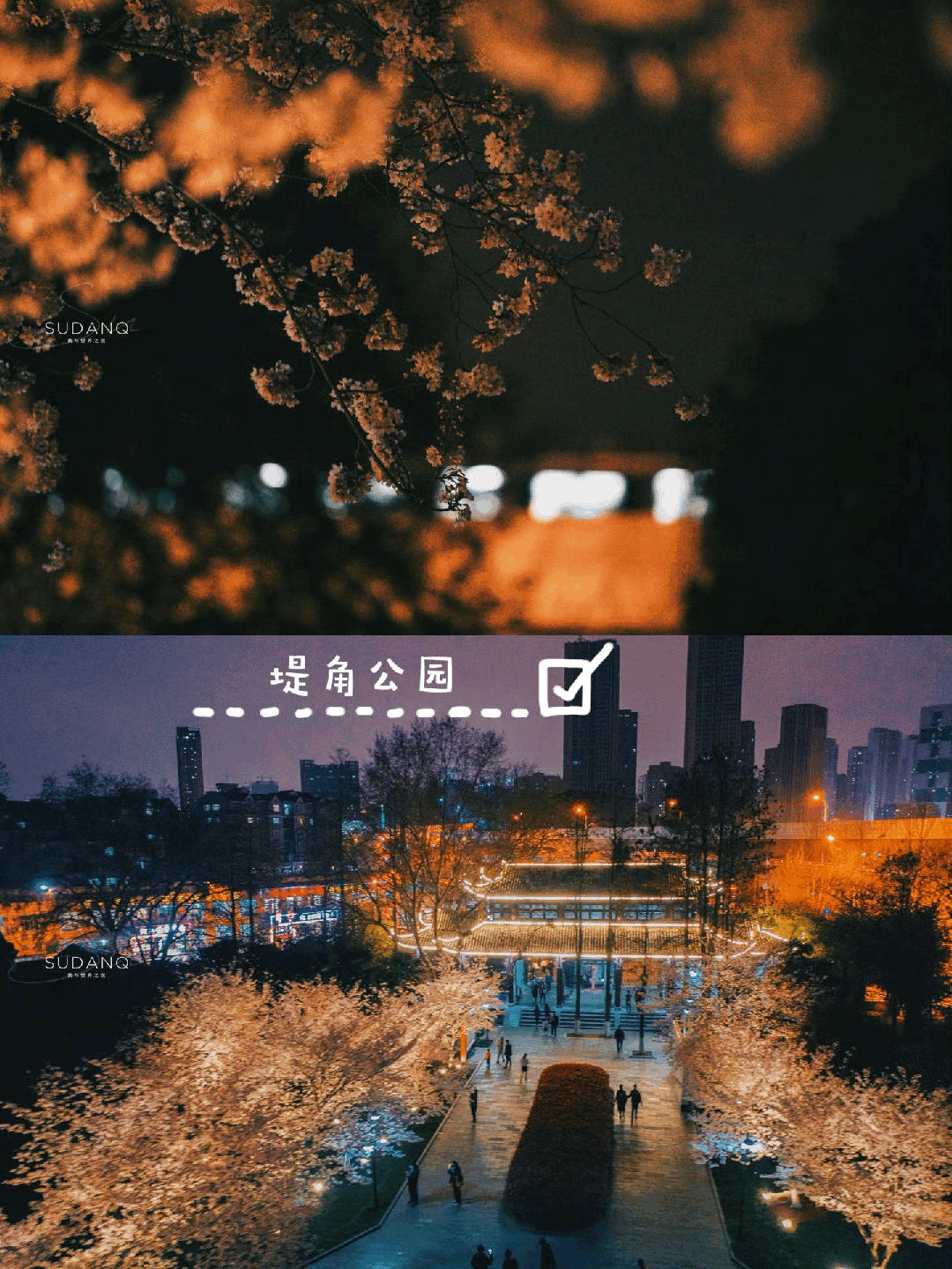 原創武漢賞櫻攻略請收藏！除了武大和東湖，還有這些免費打卡地哦