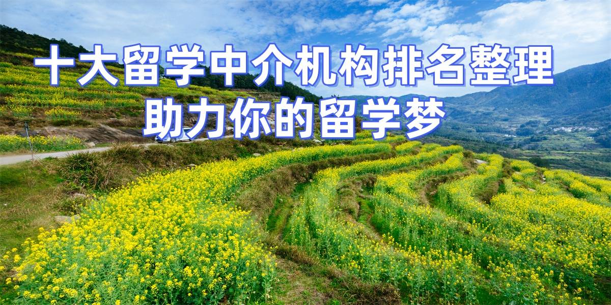 考研後留學，上海擅長考研轉留學的留學中介top8推薦