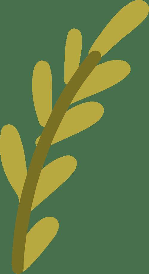 相約丨租房被扣押金、網購退貨難？聽法律專家教你如何“不吃虧”