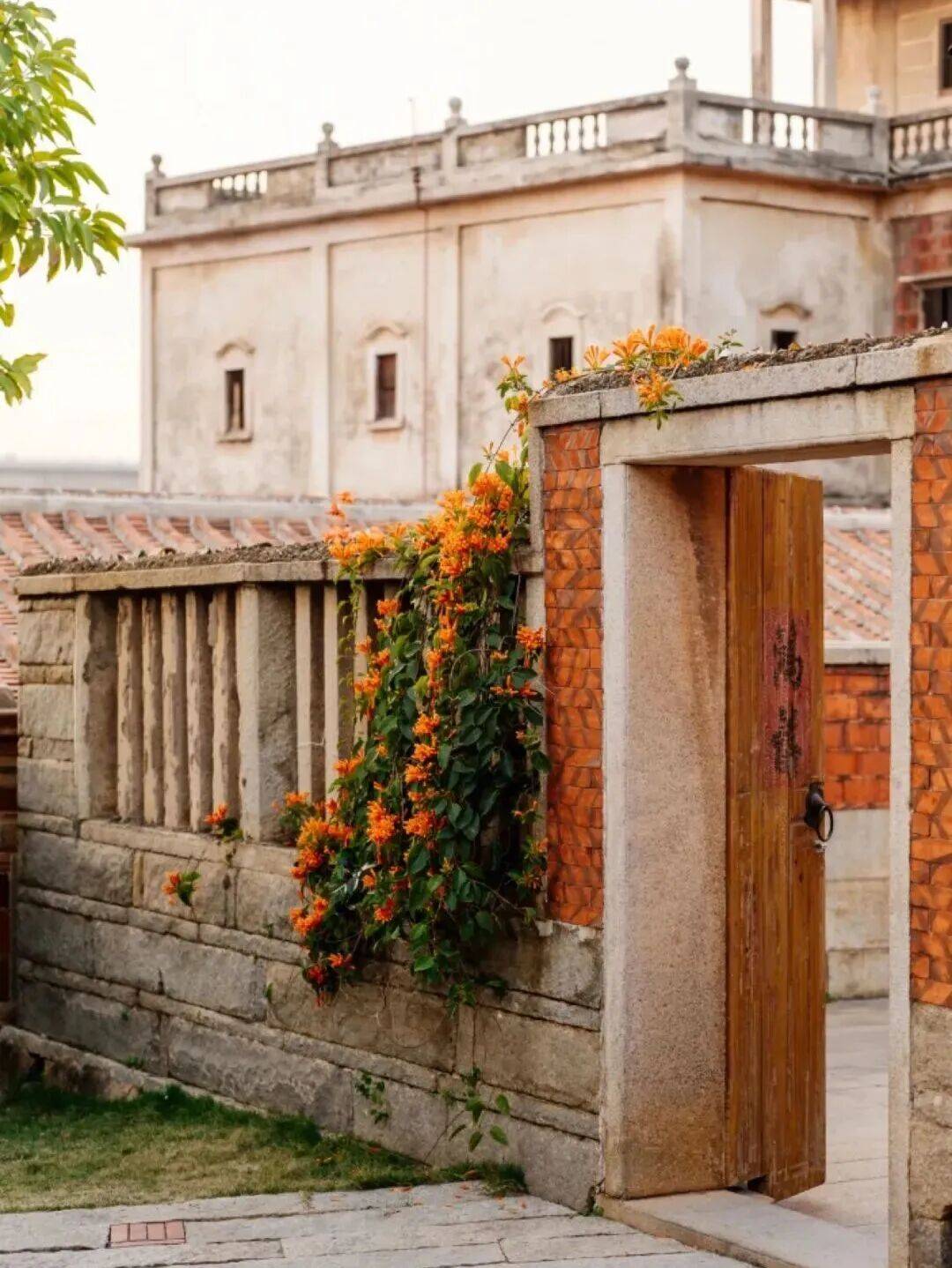 收藏！泉州春日賞花去哪裡？花期+地址全攻略