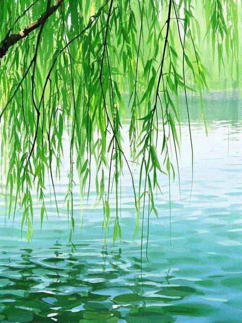 林野漁家圖 | 詩歌（附點評）作者 張桂澤