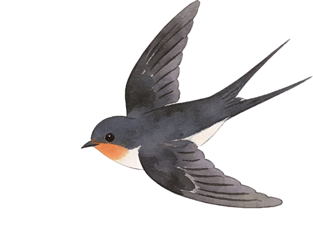 被10w人收藏的春日低卡菜譜！想不瘦都難！