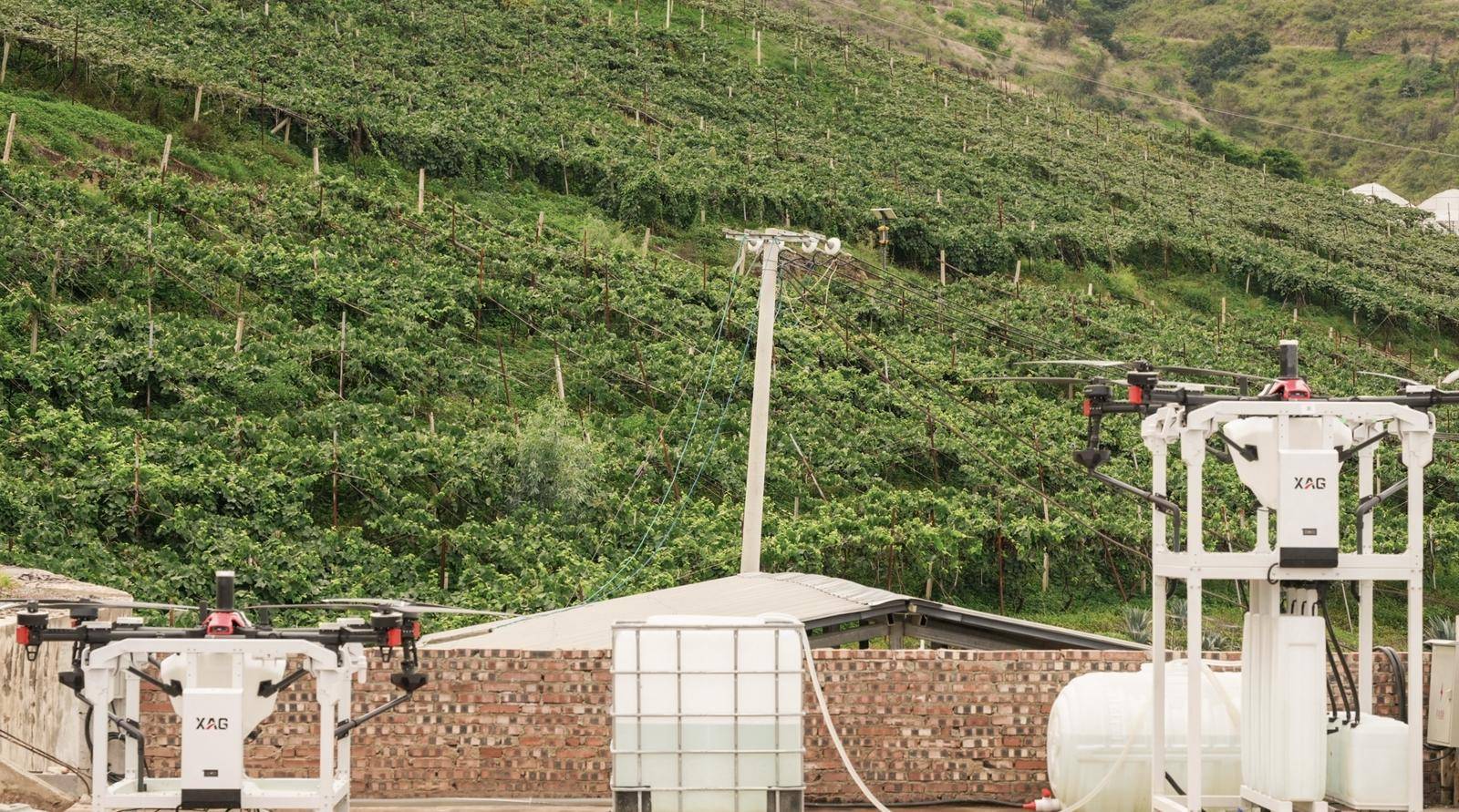 科技賦能賓川果業，智慧種植促增收