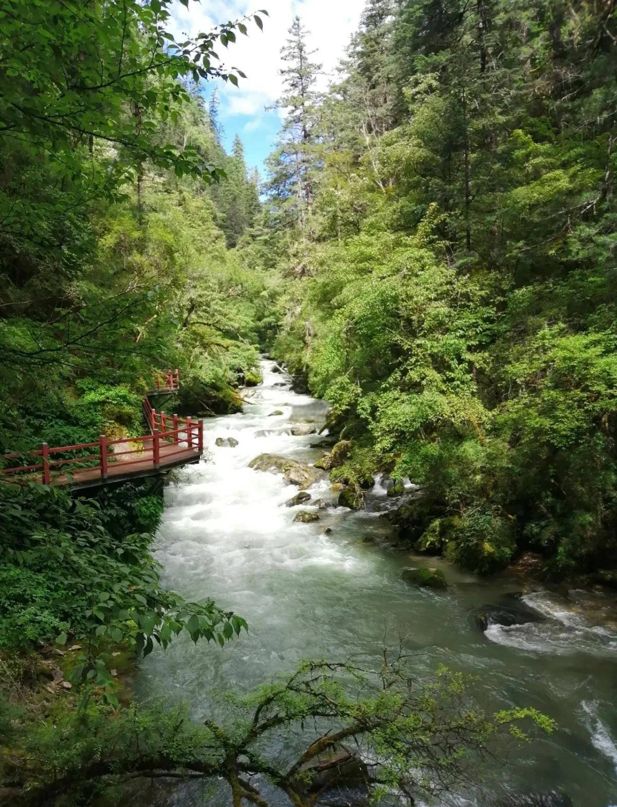 香格里拉旅遊，生態尼汝村遊玩攻略！