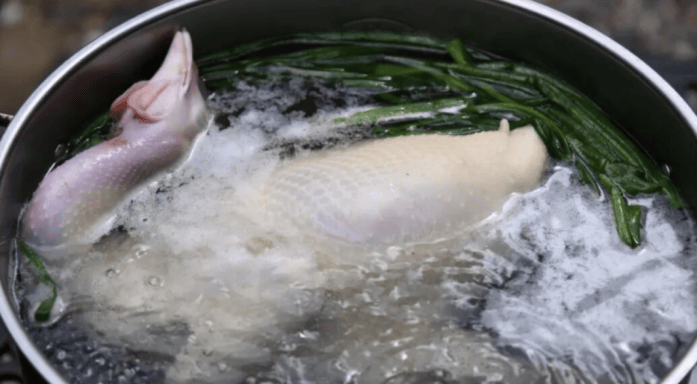 豆皮雞和奇香雞：宵夜攤闖出的風味傳奇丨石龍美食江湖志