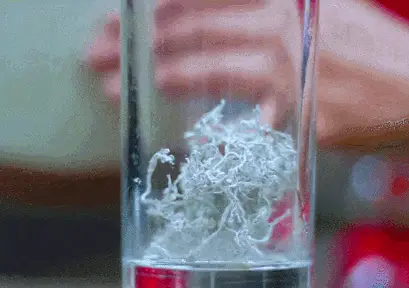 重大發現：雞蛋與它同吃，三高降了，肝乾淨了，眼睛明亮了，免疫力提高10倍!(建議收藏)