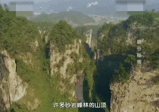 重大發現：雞蛋與它同吃，三高降了，肝乾淨了，眼睛明亮了，免疫力提高10倍!(建議收藏)