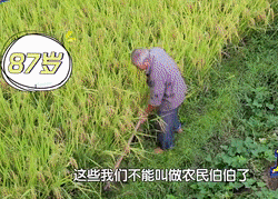 重大發現：雞蛋與它同吃，三高降了，肝乾淨了，眼睛明亮了，免疫力提高10倍!(建議收藏)