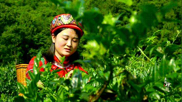 重大發現：雞蛋與它同吃，三高降了，肝乾淨了，眼睛明亮了，免疫力提高10倍!(建議收藏)