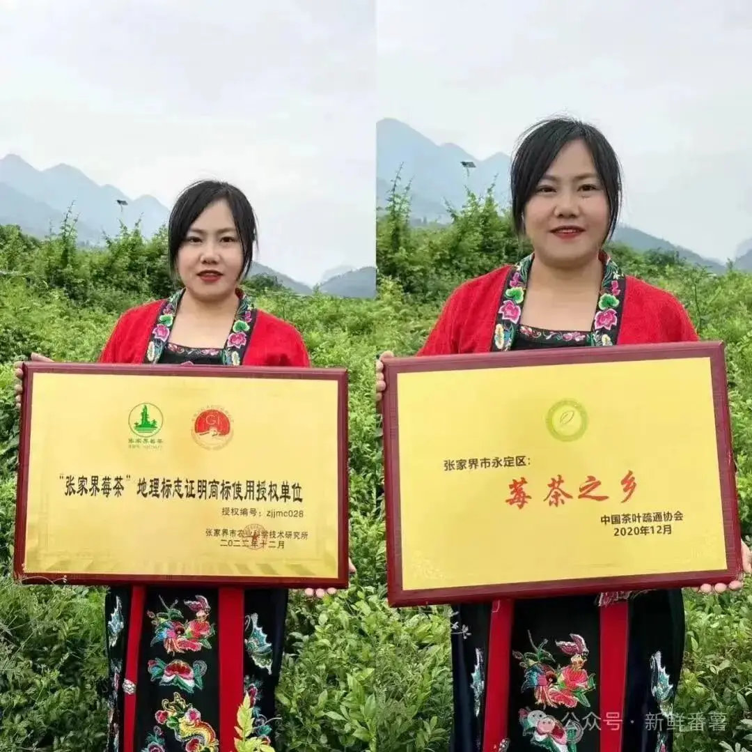 重大發現：雞蛋與它同吃，三高降了，肝乾淨了，眼睛明亮了，免疫力提高10倍!(建議收藏)