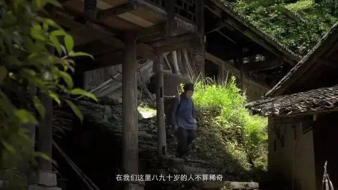 重大發現：雞蛋與它同吃，三高降了，肝乾淨了，眼睛明亮了，免疫力提高10倍!(建議收藏)