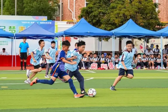 申博、申碩、升本，在莞高校提質升級｜教育周視野