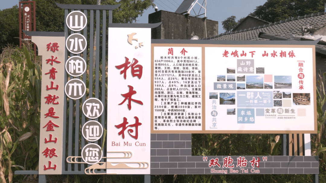 四川眉山一小村落有33對雙胞胎，發生率高達5%左右，專家回應“雙胞胎村”成因：遺傳因素可能性最大，土壤含硒、特殊水源等無直接依據