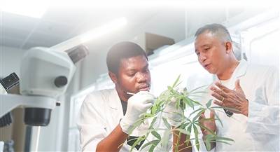交流互鑑，助力中非攜手邁向現代化（“留學中國”故事）